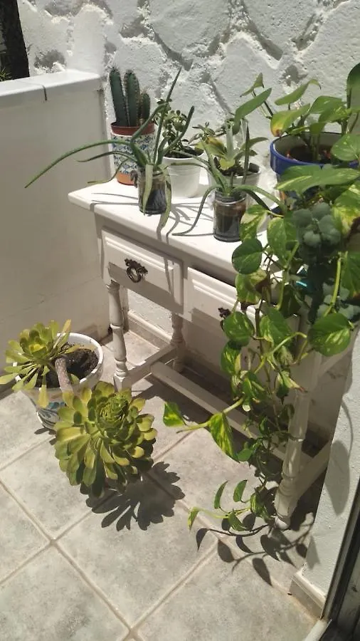 Appartamento Pino'S Vivienda Vacacional Costa Del Silencio Spagna